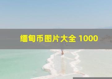 缅甸币图片大全 1000